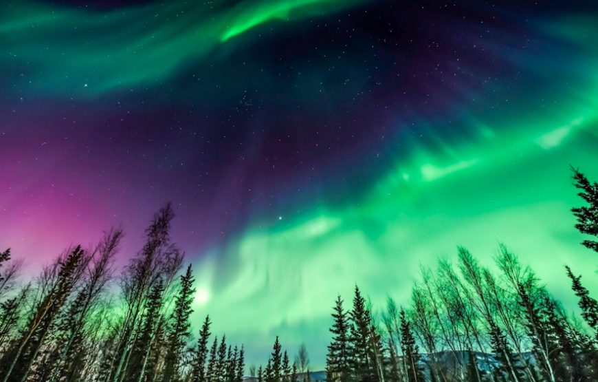 Islanda – 🇮🇸 Islanda – Tour Discoverando tra Cascate, Ghiacciai e Aurora Boreale ❄️✨