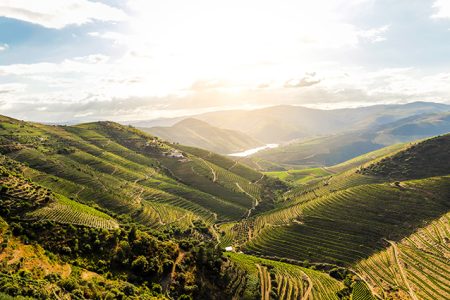 CROCIERA LUNGO IL RIO DOURO