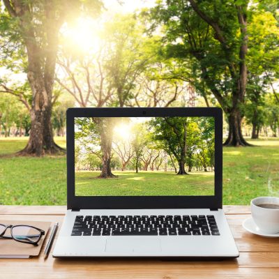 laptop computer and coffee on wood workspace and park background