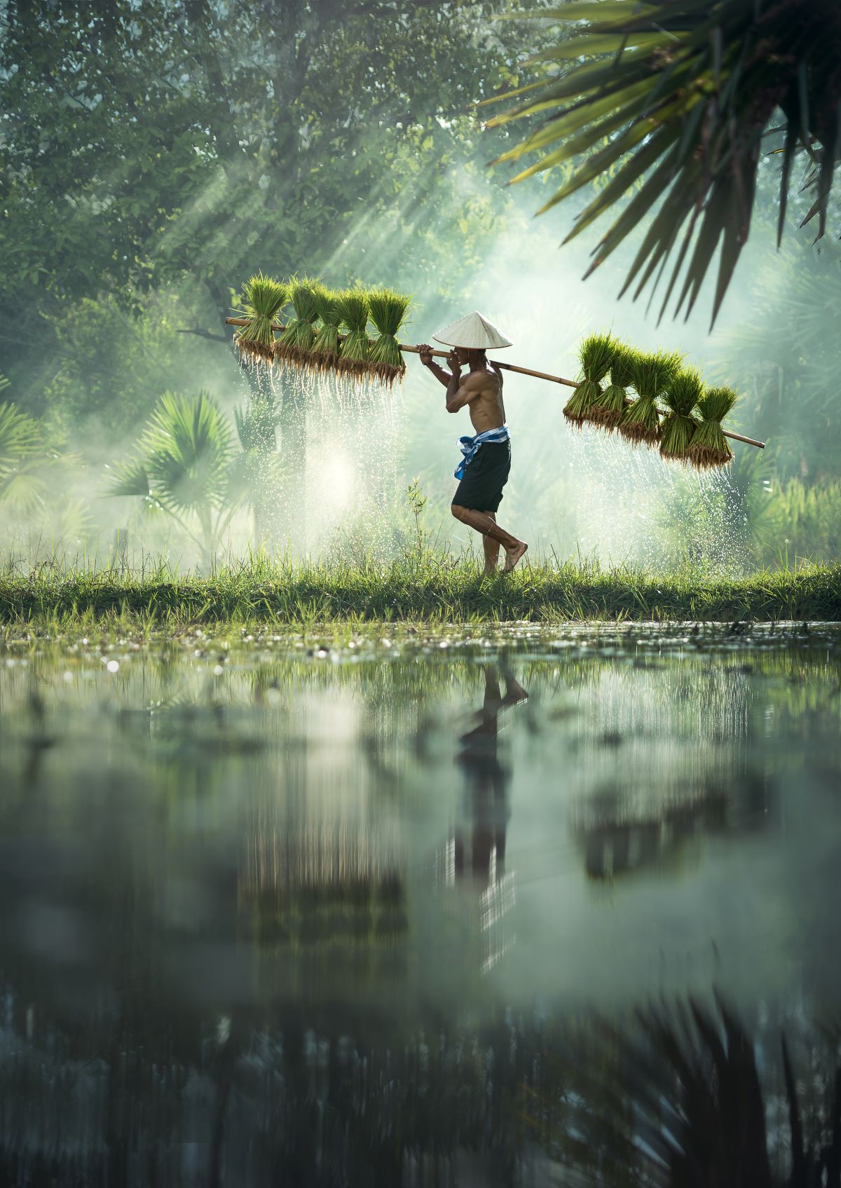 🇻🇳 DISCOVER VIETNAM