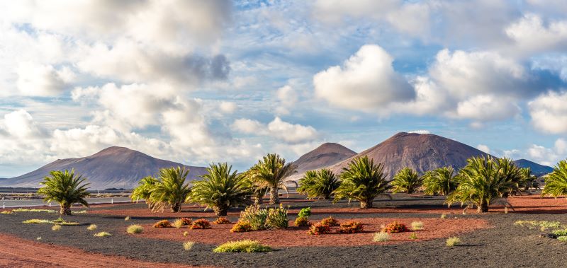Canarie – LANZAROTE DISCOVERANDO