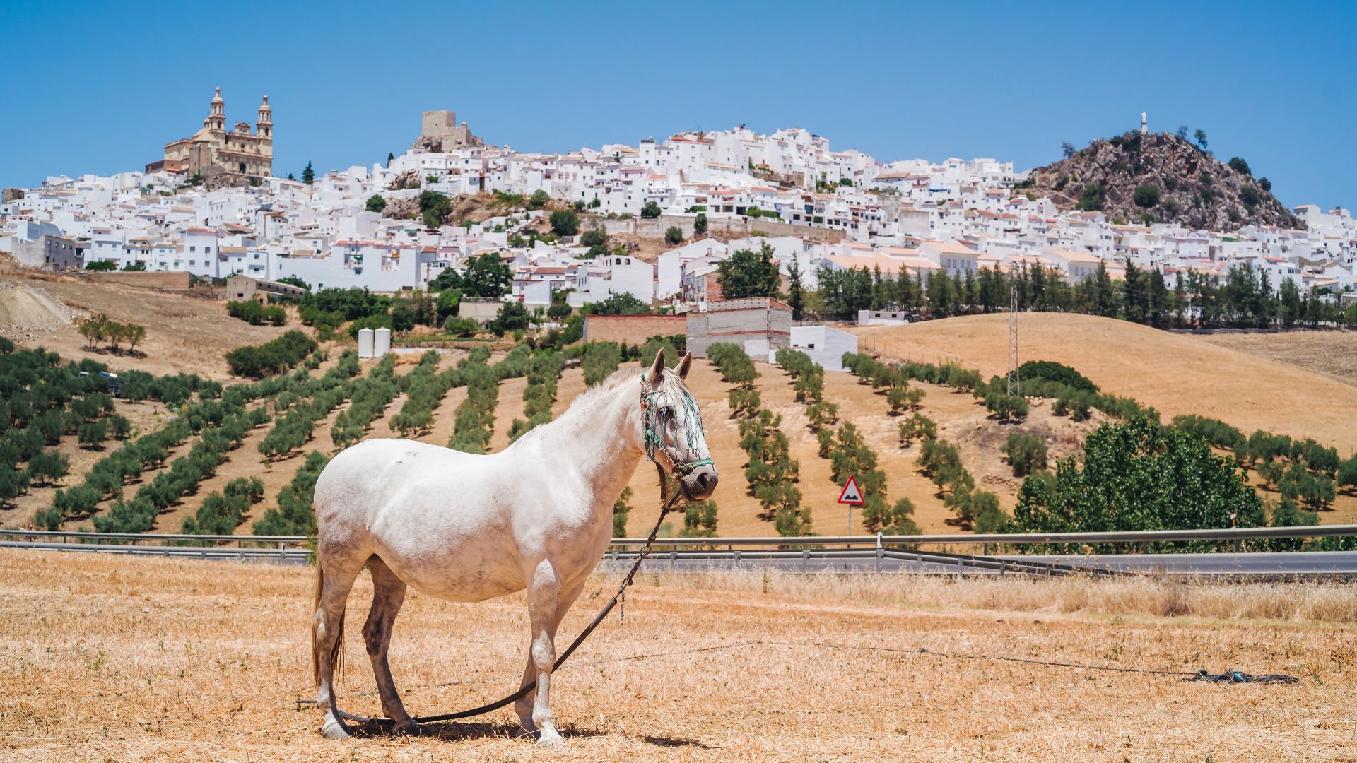 Andalusia – 🇪🇸 Andalusia on the road – Discoverando ❄️✨