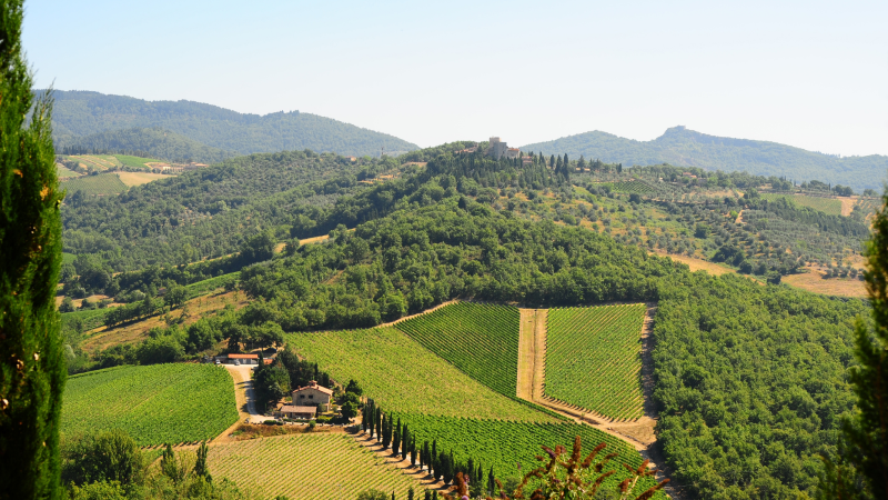 TOUR DELLA TOSCANA 2026 – 6GG